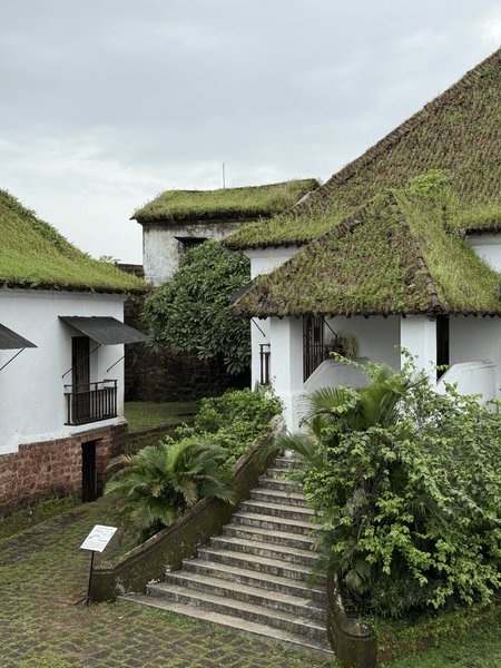 White Buildings and Green Roofs