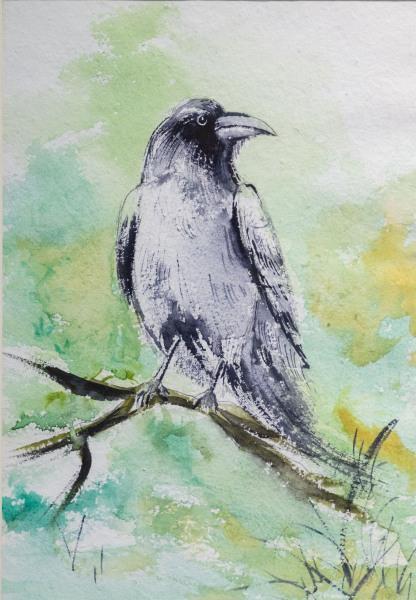 Silent Observer