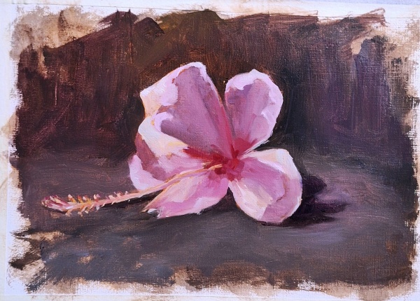 The Pink Hibiscus | Floral Oil Painting