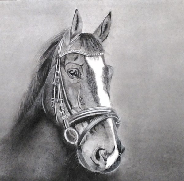 A Noble Presence | Portrait Painting for Wall