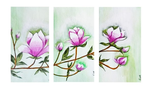 Magnolia Flowers
