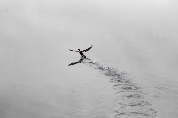 Take Off