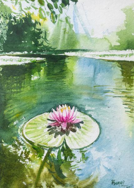 Serenity In Bloom