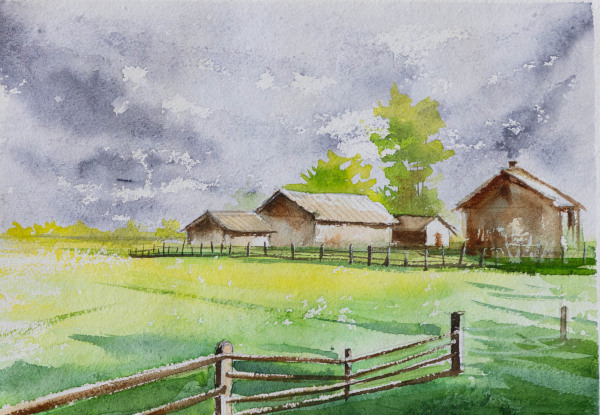 The Green Pasture