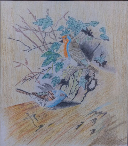 Love Birds on a Tree | Original Pencil Artwork