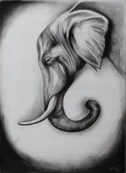 The Lost Elephant | Charcoal Wildlife Portrait