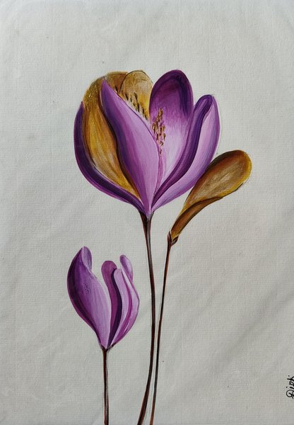 Royal Purple Crocus Flower Painting