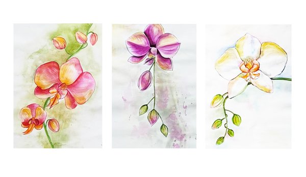 3 Orchids | Watercolor Floral Art