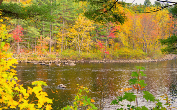 Us Autumn River View
