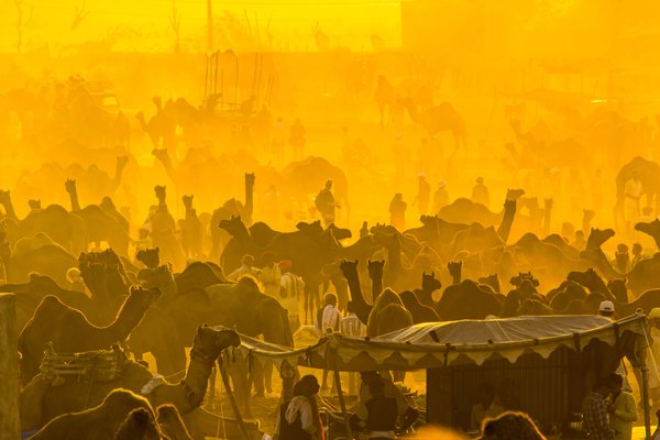 Glorious Pushkar | Desert Photography Print