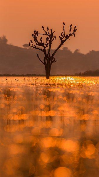 Glorified Bhigwan | Nature Photography Print